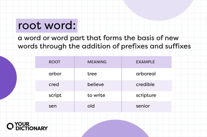 Words with the root ceph