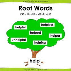 Words with the root ceph