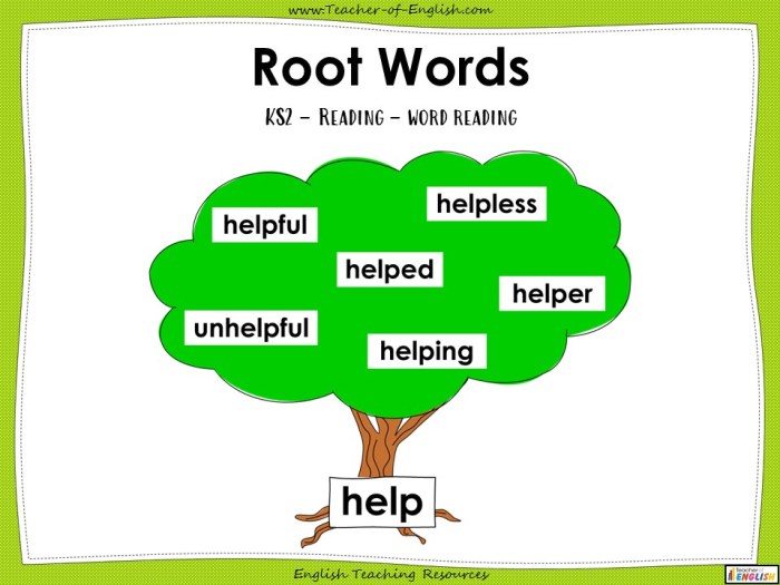 Words with the root ceph