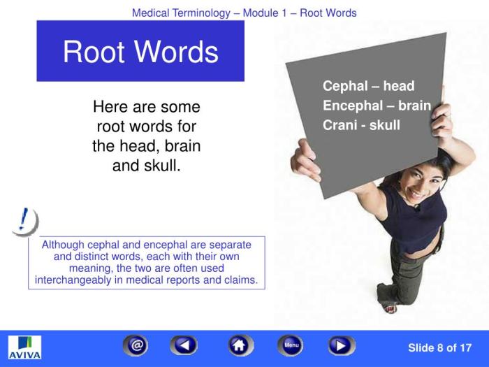 Root words rooted