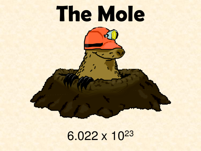 The mole and avogadro's number worksheet