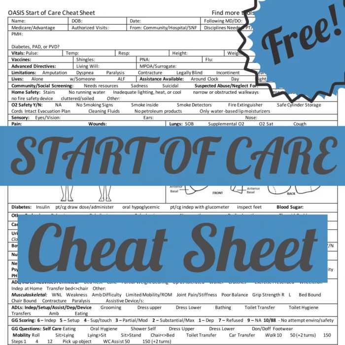 Pointcare homecare homebase cheat sheet