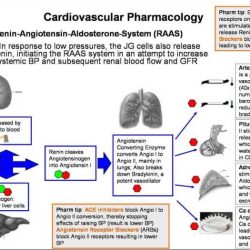 Relias rn pharmacology assessment a