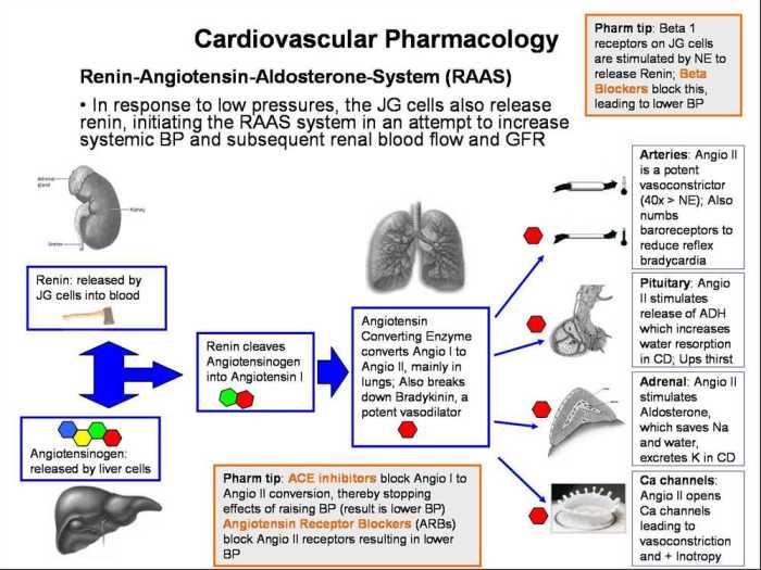 Relias rn pharmacology assessment a