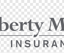 Hohlbein v heritage mutual insurance