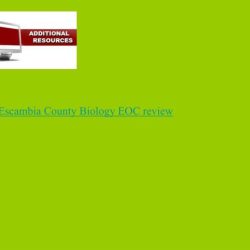 Escambia county biology eoc review