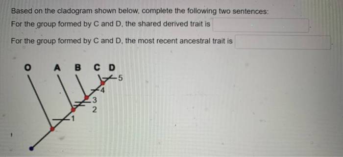 Which is a correct interpretation of the cladogram shown below