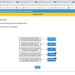 Match each economic scenario with the correct economic term