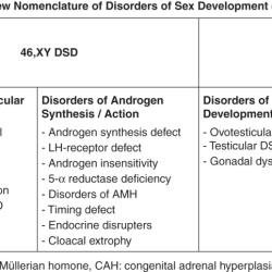 Androgen insensitivity agenesis mullerian usmle reductase deficiency