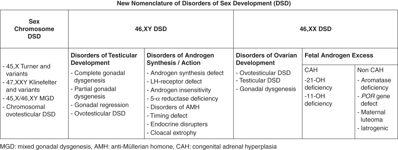 Androgen insensitivity agenesis mullerian usmle reductase deficiency